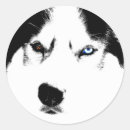 Search for malamute stickers Husky