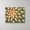 Search for spine art Cactus