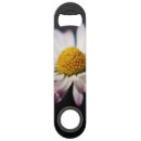 Search for bellis photography White