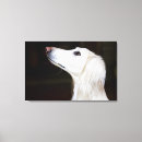 Search for saluki art Animals
