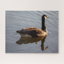 Search for canadian puzzles Bird