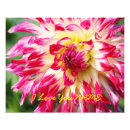 Search for spring love posters Floral