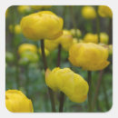 Search for green globe stickers Nature