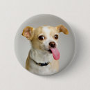 Search for chihuahua badges Adorable