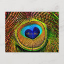 Search for love peacocks postcards Elegant