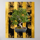 Search for bonsai posters Green