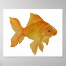 Search for goldfish posters Watercolor