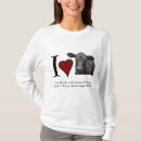 Search for black angus Cattle