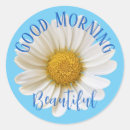 Search for blue daisies stickers Floral