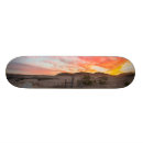 Search for dramatic skateboards Outdoors