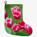 Search for photography christmas stockings Cute