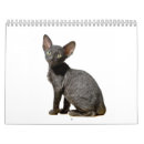 Search for furry calendars Feline