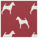 Search for smooth fox terrier Dog