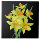 Search for daffodils tiles Yellow