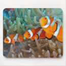Search for clownfish mousepads Coral
