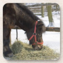 Search for horse coasters Sweden