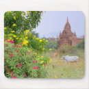 Search for myanmar mousepads Tower