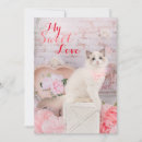 Search for ragdoll kitten cards Animal