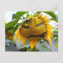 Search for mood postcards Cool