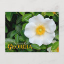 Search for cherokee postcards Flower