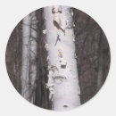 Search for birch bark stickers Forest