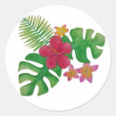 Search for tropical island stickers Green