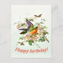 Search for antique butterfly illustration postcards Botanical