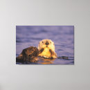 Search for sea otter canvas prints Nature