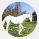 Search for kids horse stickers Flowers