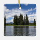 Search for fork christmas tree decorations Landscape