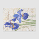 Search for blue iris Floral