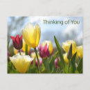 Search for red bloom postcards Pink