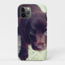 Search for lab iphone cases Puppies