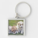 Search for behaviour key rings Togetherness