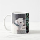 Search for lucky dog mugs Irish