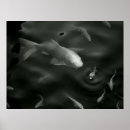 Search for koi fish art Kois