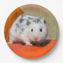 Search for hamster plates Animal
