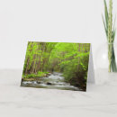 Search for mountain cards Tree