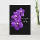 Search for dramatic orchid Photography