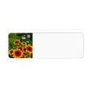 Search for black eyed susan return address labels Garden