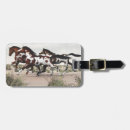 Search for run travel accessories Desert