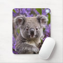 Search for marsupial mousepads Wildlife