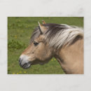 Search for fjord postcards Nature
