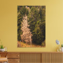 Search for tree bark art Orange