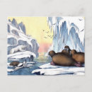 Search for north pole postcards Polar bear