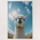 Search for alpaca puzzles Wildlife