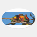 Search for lorikeet stickers Rainbow