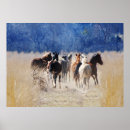 Search for wild horse posters Equestrian