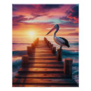 Search for pelican posters Bird
