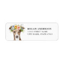 Search for greyhound return address labels Dog
